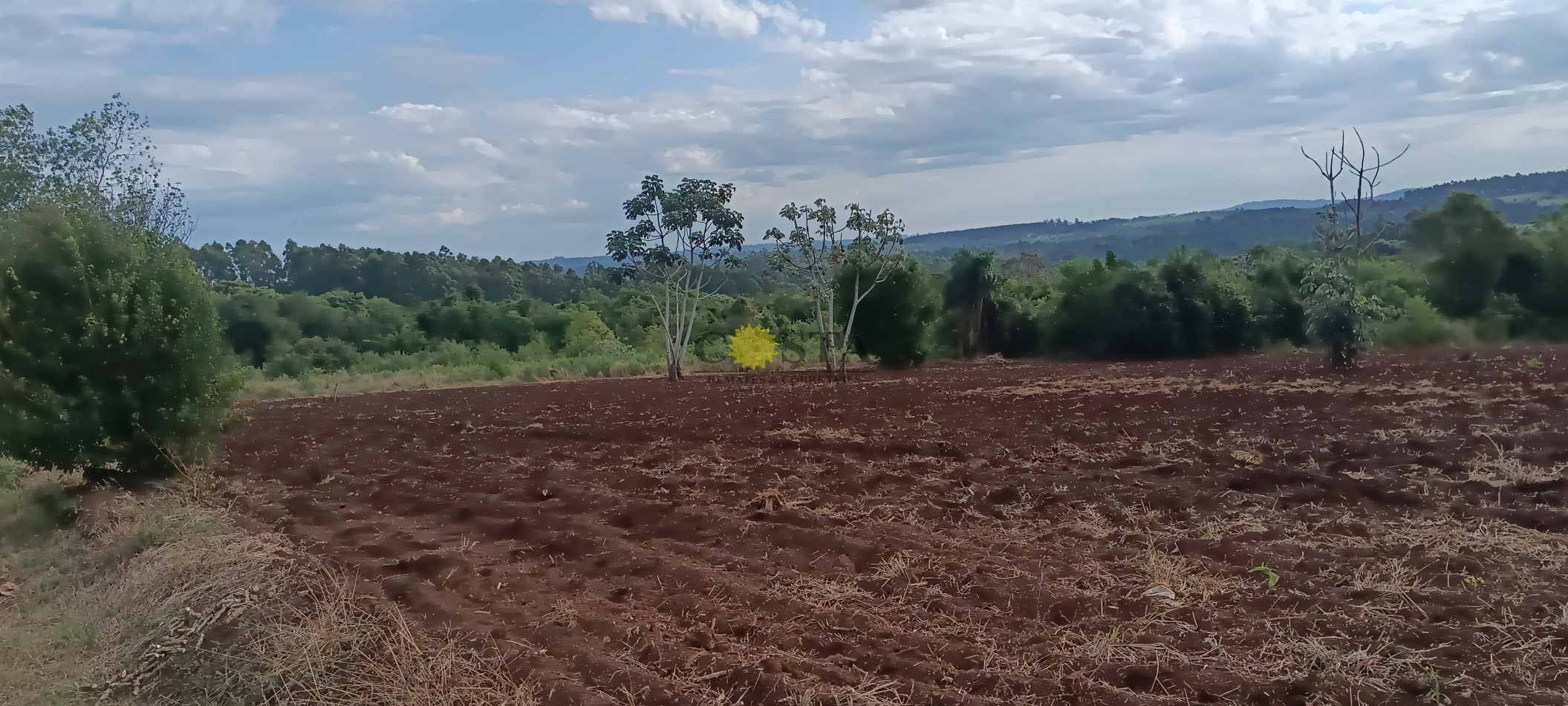 CHACRA DE 56 HAS. (90% SUELO 9), GOBERNADOR ROCA, MISIONES. VENTA