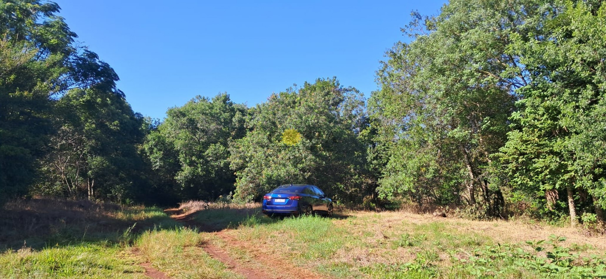 CHACRA DE 17,6 HAS. EN SAN IGNACIO. MISIONES. 