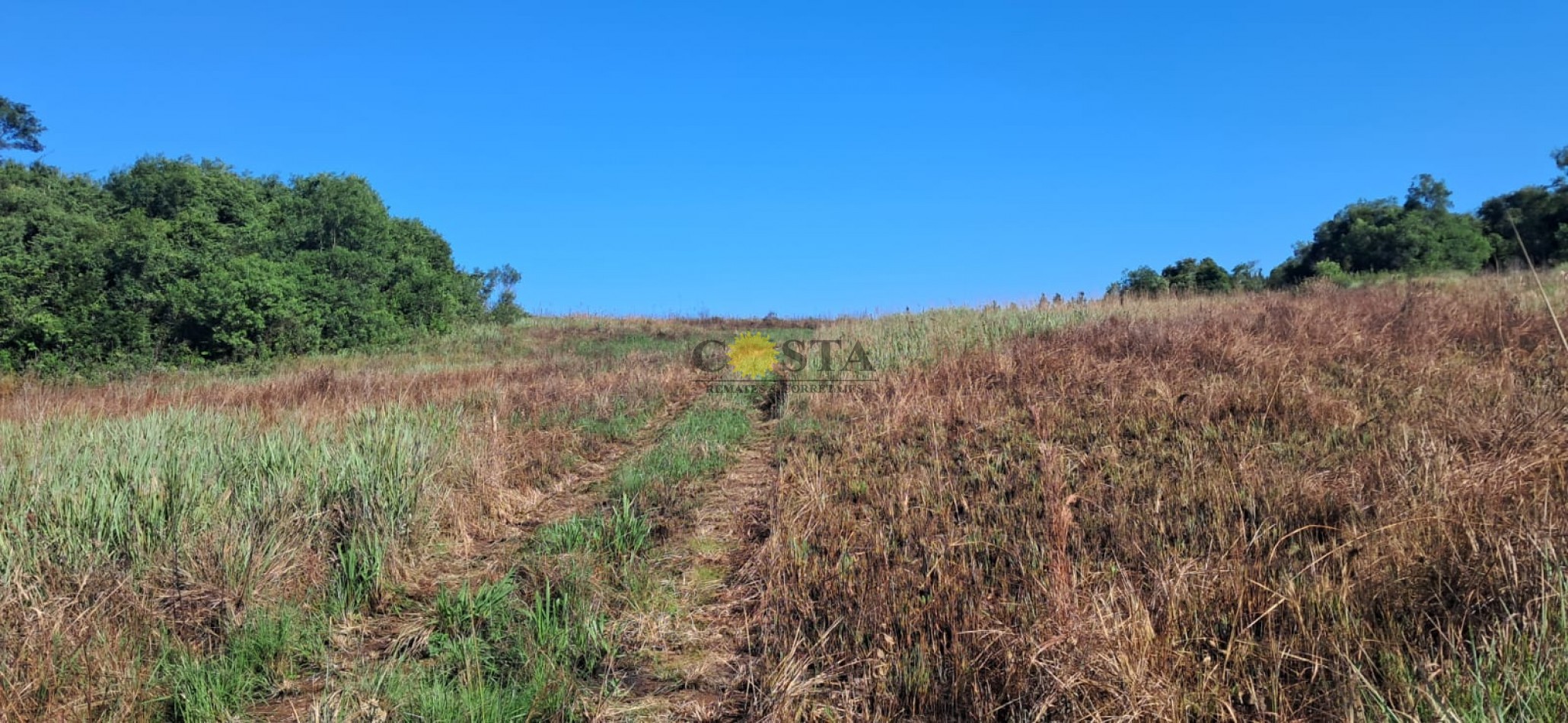 CHACRA DE 17,6 HAS. EN SAN IGNACIO. MISIONES. 