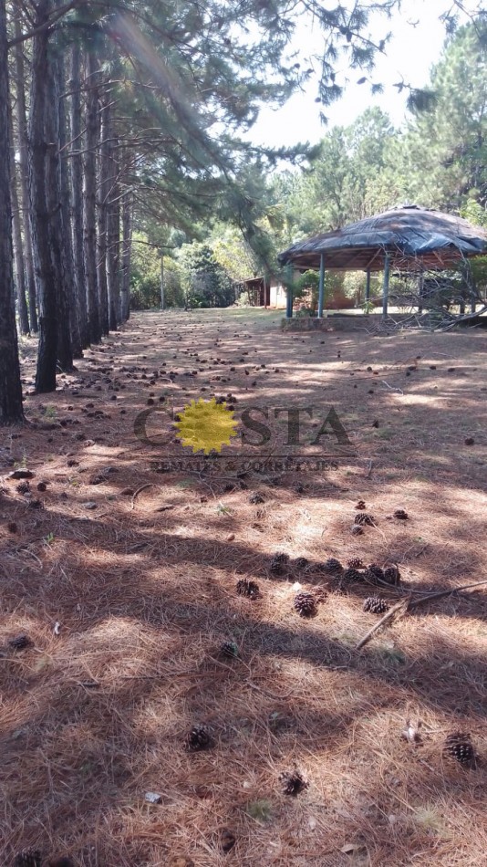 CASA QUINTA EN 5,4 HAS. DE SANTA INES, GARUPA, MISIONES. 