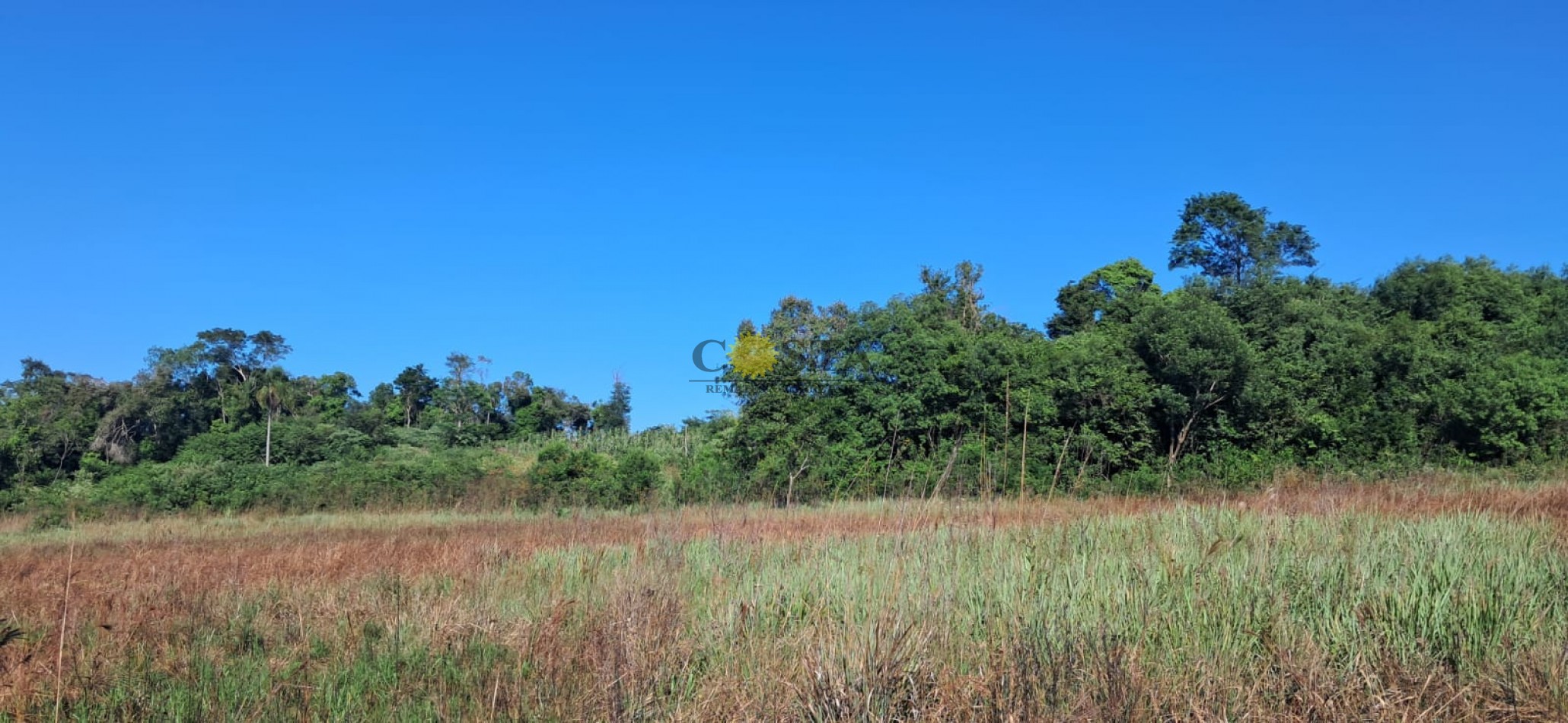 CHACRA DE 17,6 HAS. EN SAN IGNACIO. MISIONES. 