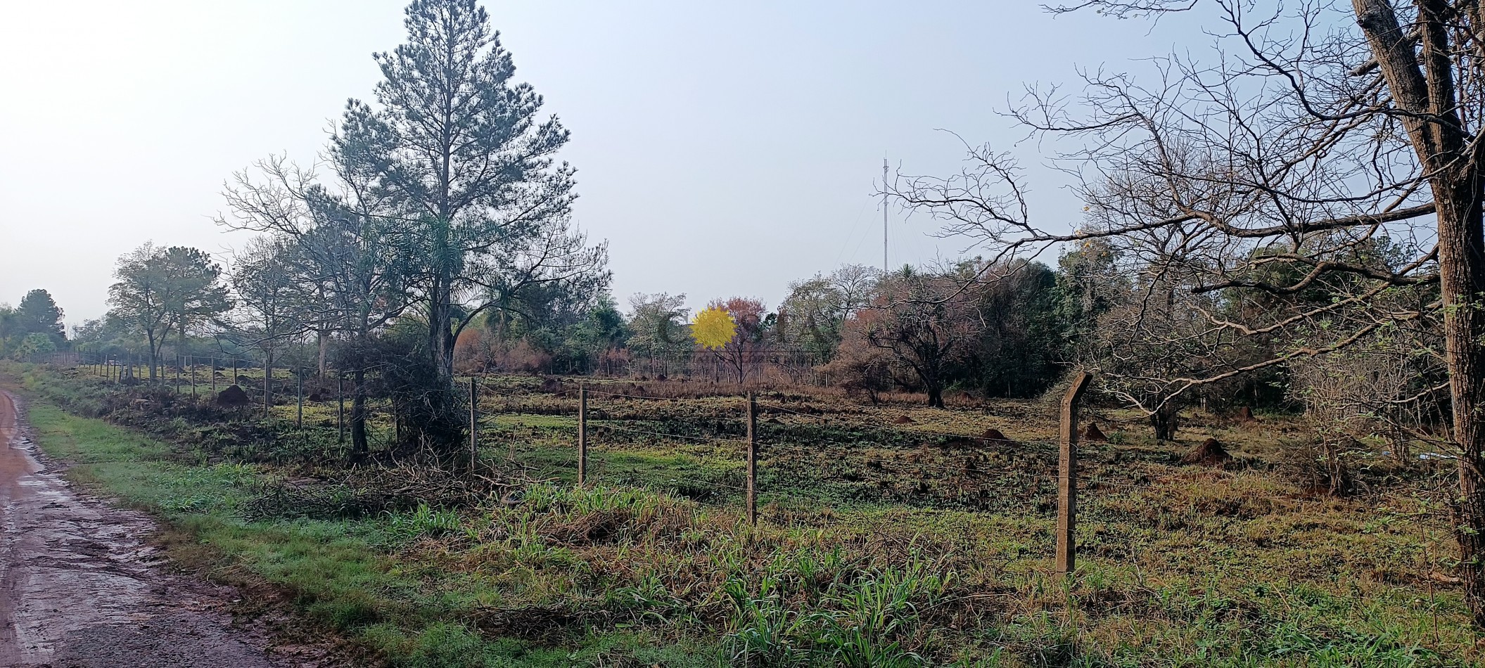 GRAN LOTE FRENTE AL CLUB DE CAMPO LA EUGENIA. VENTA GARUPA MISIONES. 