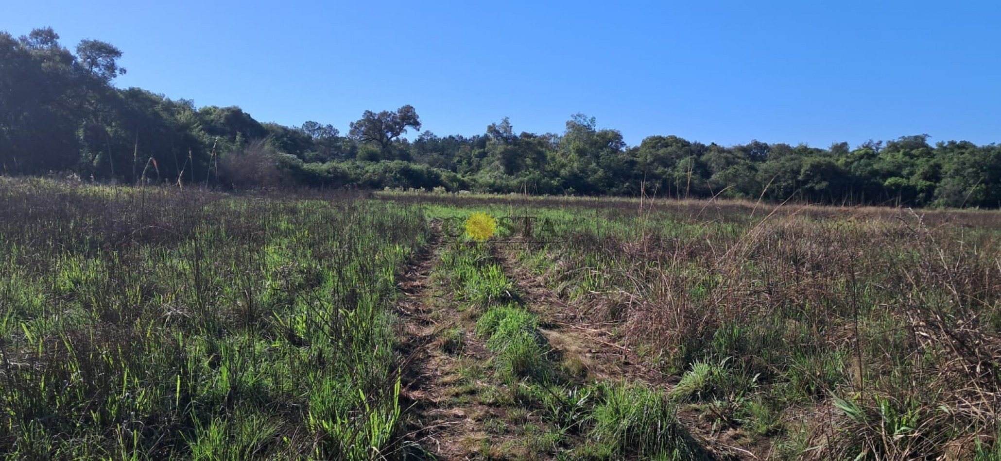 CHACRA DE 17,6 HAS. EN SAN IGNACIO. MISIONES. 