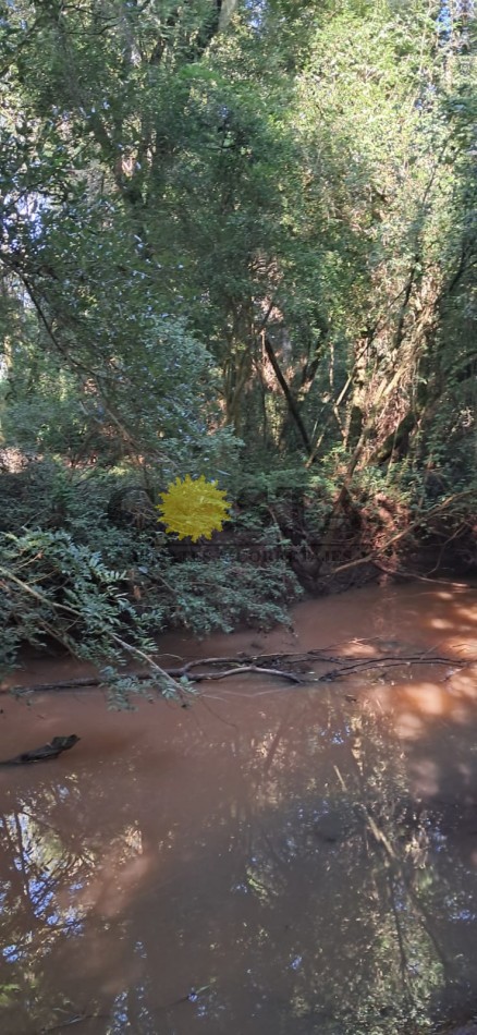 CHACRA DE 17,6 HAS. EN SAN IGNACIO. MISIONES. 