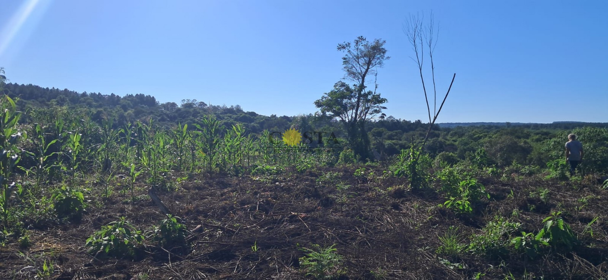 CHACRA DE 17,6 HAS. EN SAN IGNACIO. MISIONES. 