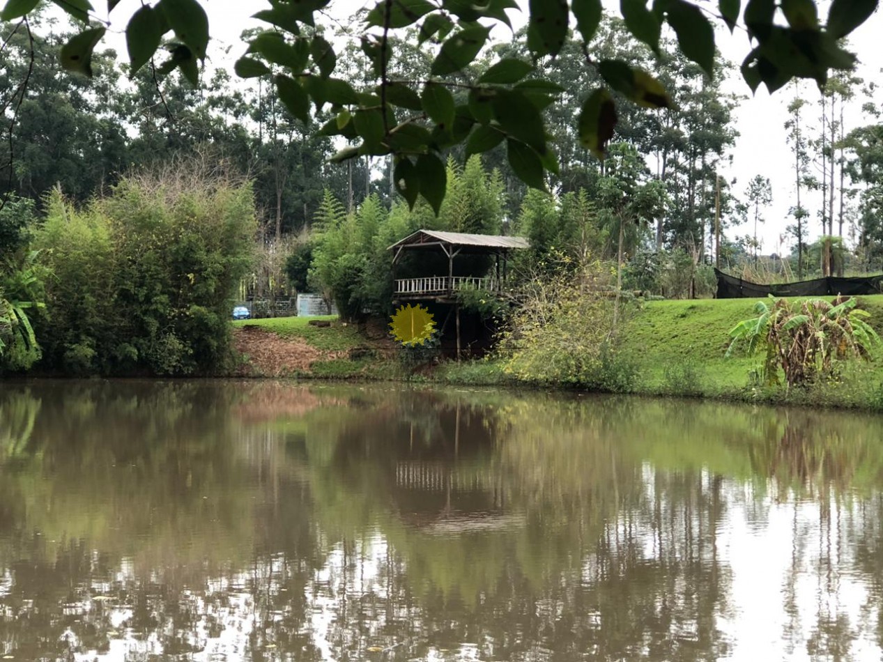 PESQUE Y PAGUE DE 1,2 HAS. CON 3 LAGUNAS. SAN ISIDRO. POSADAS. MISIONES