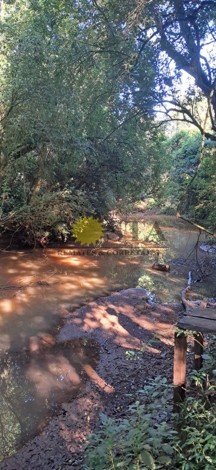 CHACRA DE 17,6 HAS. EN SAN IGNACIO. MISIONES. 