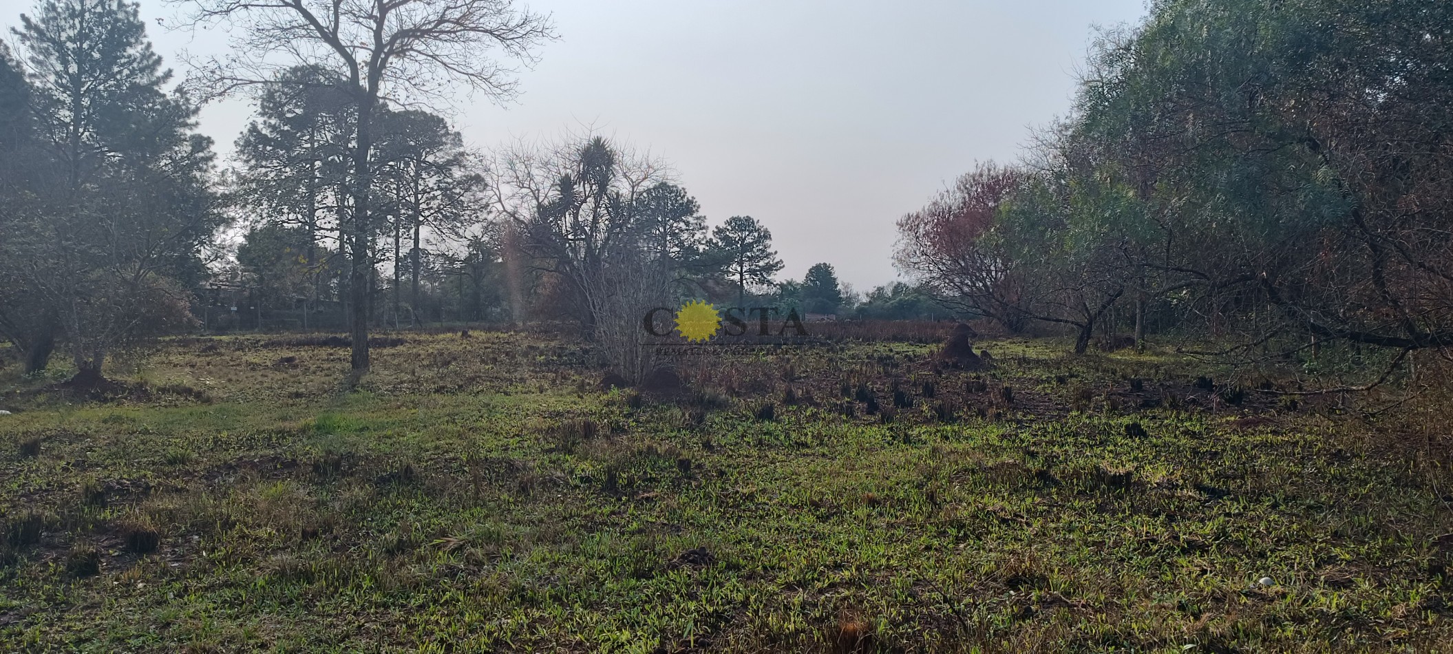 GRAN LOTE FRENTE AL CLUB DE CAMPO LA EUGENIA. VENTA GARUPA MISIONES. 