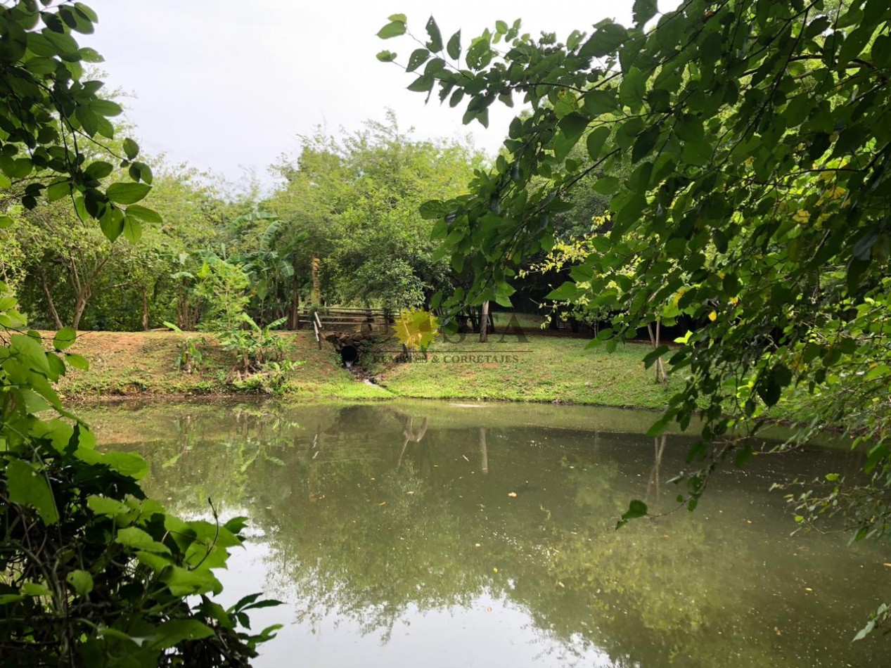 PESQUE Y PAGUE DE 1,2 HAS. CON 3 LAGUNAS. SAN ISIDRO. POSADAS. MISIONES