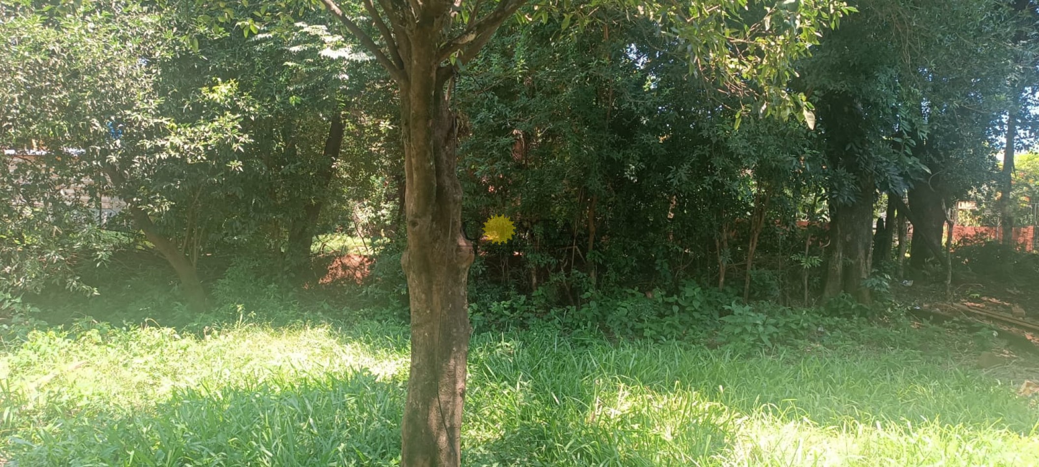 AMPLIO TERRENO C/ACCESO POR 2 CALLES EN B° AEROCLUB. VENTA. POSADAS. MISIONES