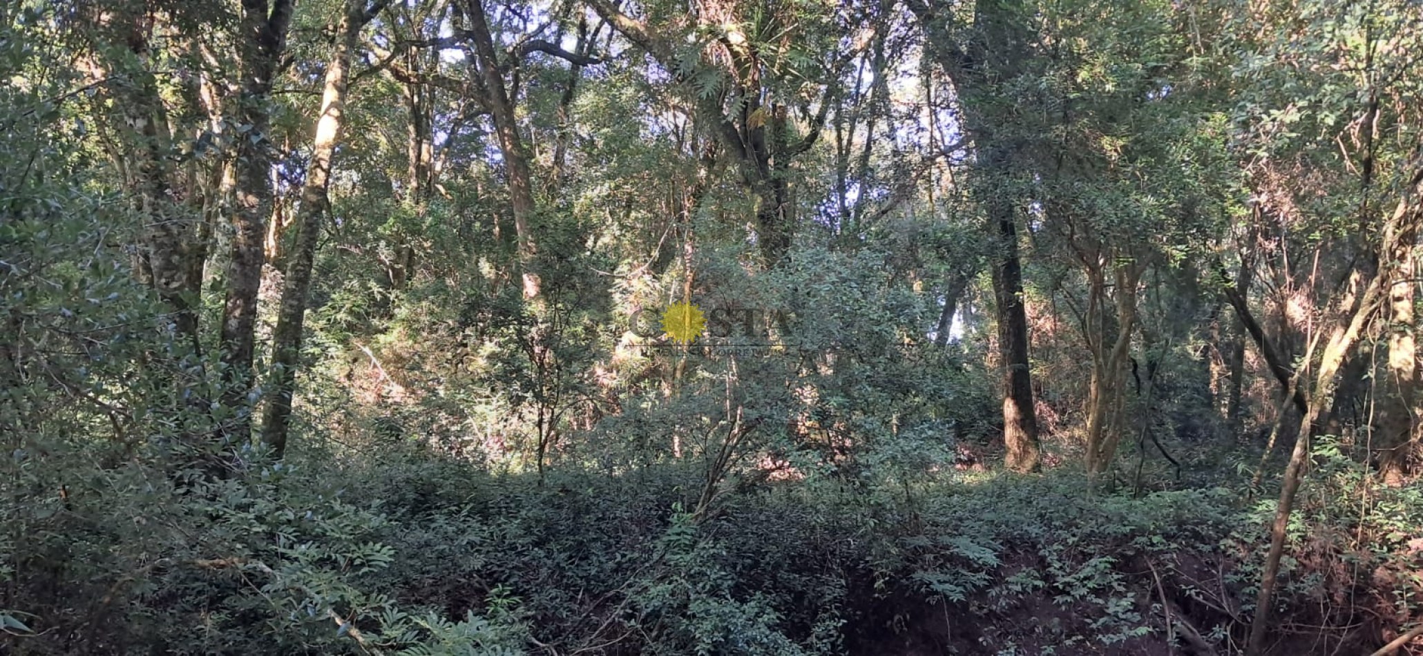 CHACRA DE 17,6 HAS. EN SAN IGNACIO. MISIONES. 