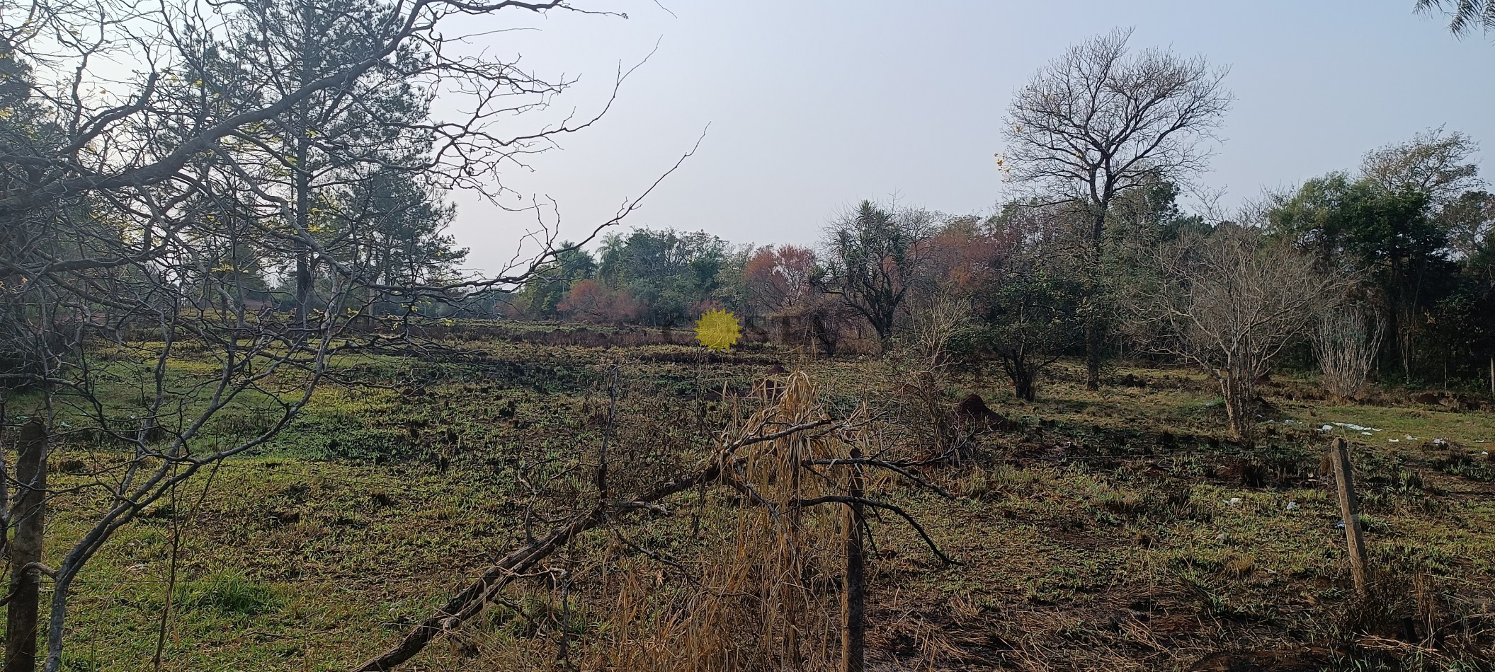 GRAN LOTE FRENTE AL CLUB DE CAMPO LA EUGENIA. VENTA GARUPA MISIONES. 