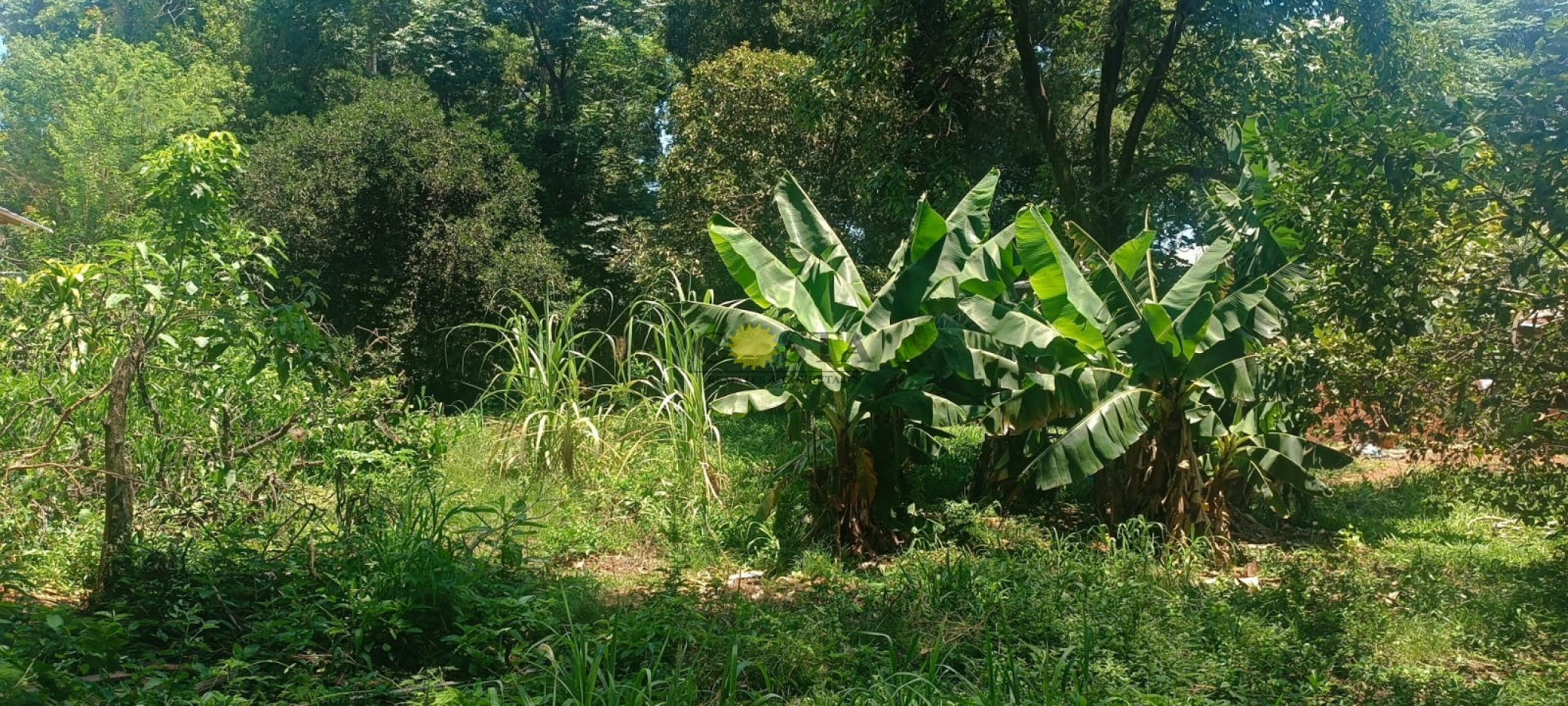 AMPLIO TERRENO C/ACCESO POR 2 CALLES EN B° AEROCLUB. VENTA. POSADAS. MISIONES